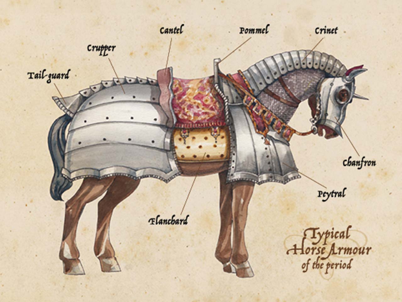 Armoured horse illustration